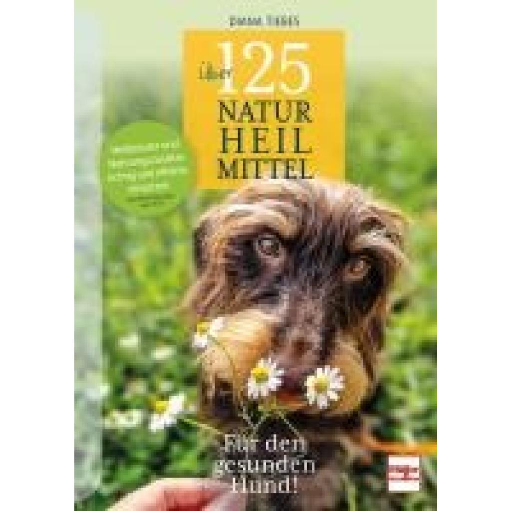 9783275023073 - Über 125 Naturheilmittel Für den gesunden Hund! - Diana Tiebes Kartoniert (TB)