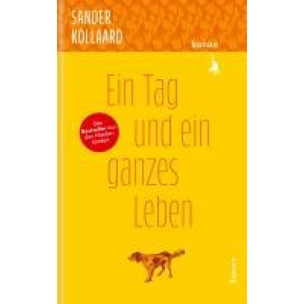 9783985681068 - Ein Tag und ein ganzes Leben - Sander Kollaard Gebunden