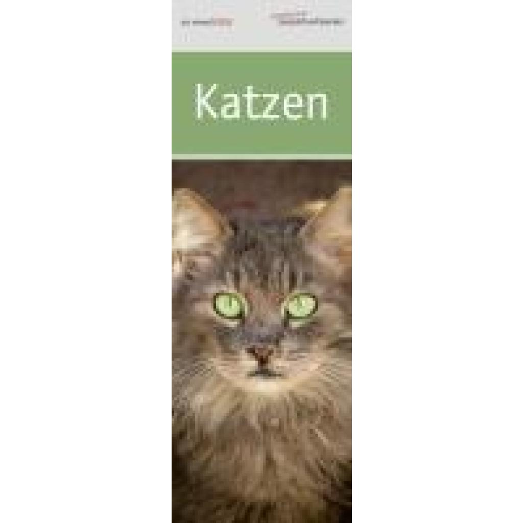 Lesezeichenkalender Katzen 2025