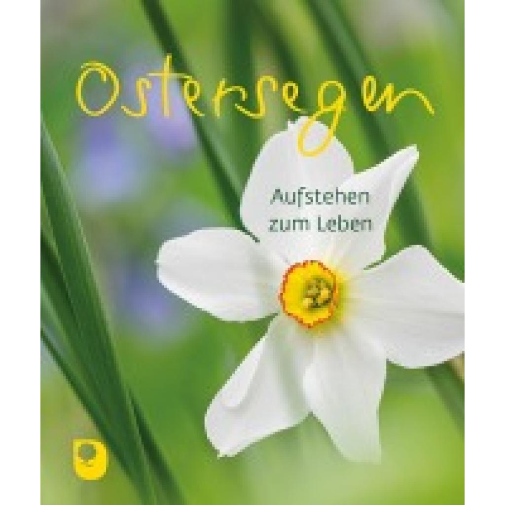 9783987000911 - Ostersegen Kartoniert (TB)