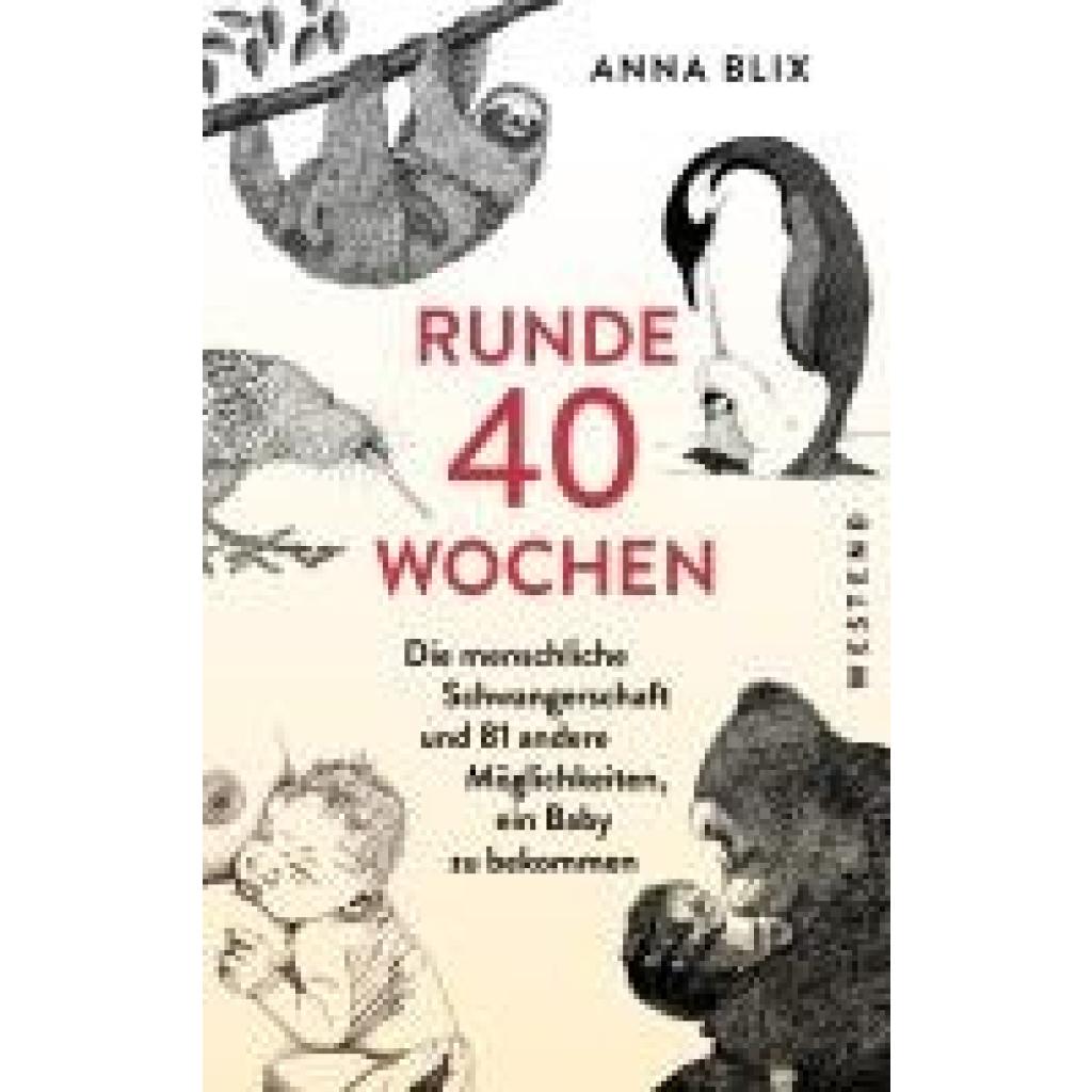 9783864894398 - Runde 40 Wochen - Anna Blix Gebunden