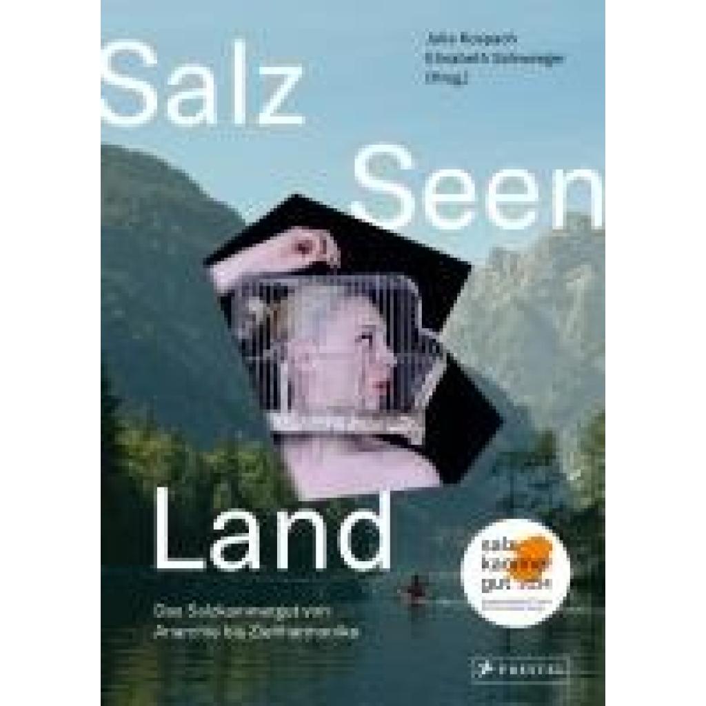 Salz Seen Land
