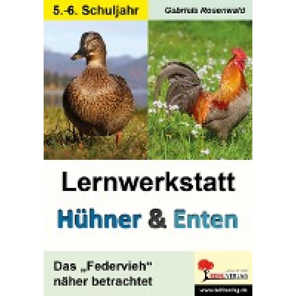 9783985583157 - Lernwerkstatt Hühner & Enten   Sekundarstufe - Gabriela Rosenwald Kartoniert (TB)