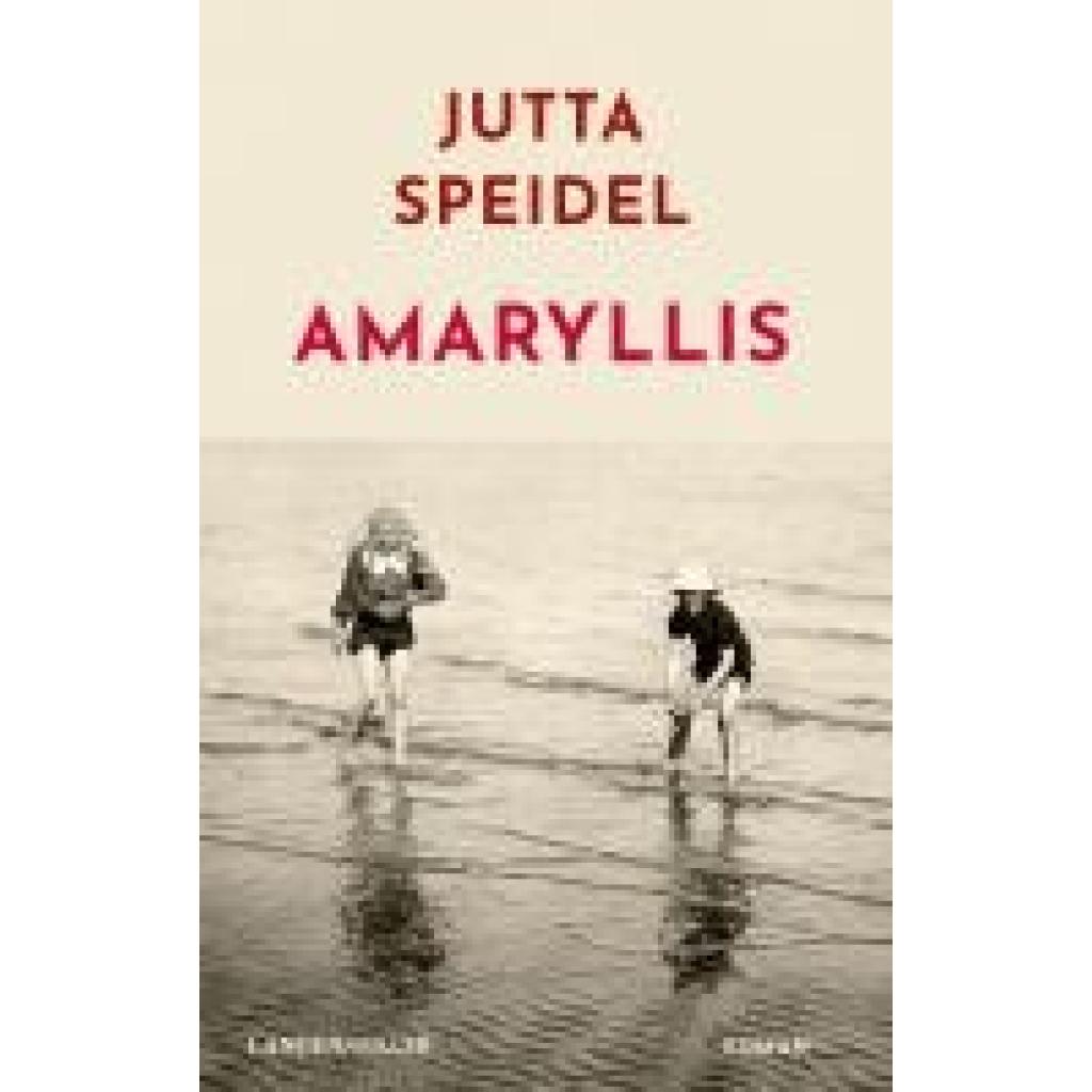 9783784437002 - Amaryllis - Jutta Speidel Gebunden