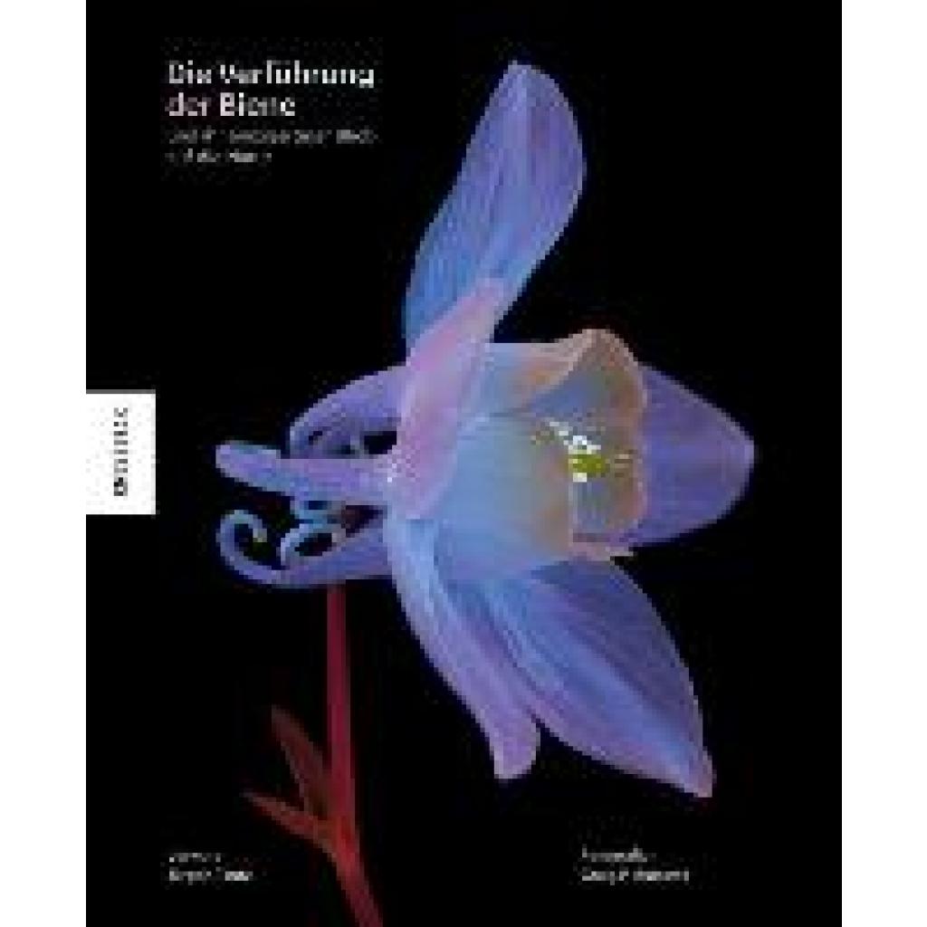 9783957288059 - Die Verführung der Biene - Craig P Burrows Gebunden