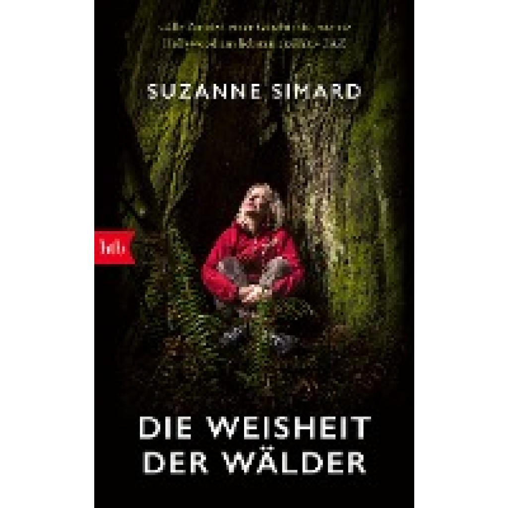 9783442773923 - Die Weisheit der Wälder - Suzanne Simard Taschenbuch