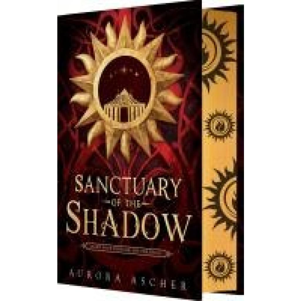 9781649374110 - Ascher Aurora Sanctuary of the Shadow