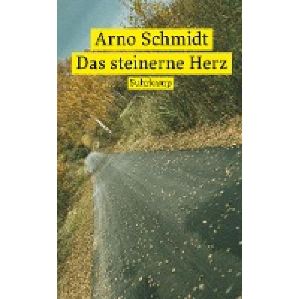 9783518473801 - Schmidt Arno Das steinerne Herz