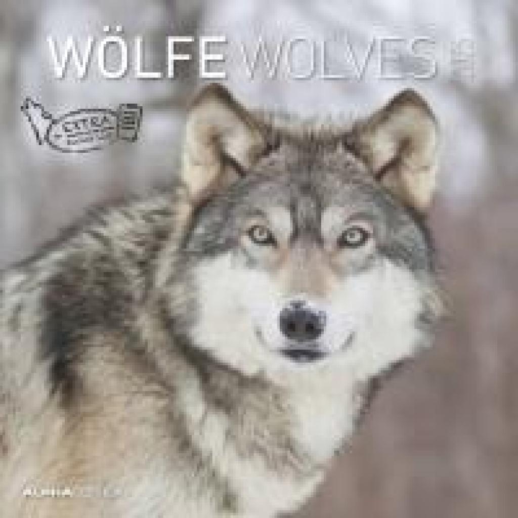 Wölfe 2025 - Broschürenkalender 30x30 cm (30x60 geöffnet) - Kalender mit Platz für Notizen - Wolves - Bildkalender - Wan