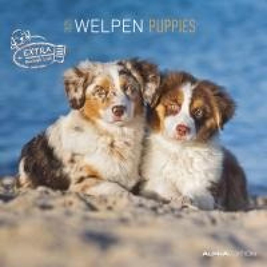 Welpen 2025 - Broschürenkalender 30x30 cm (30x60 geöffnet) - Kalender mit Platz für Notizen - Puppies - Hundekalender - 