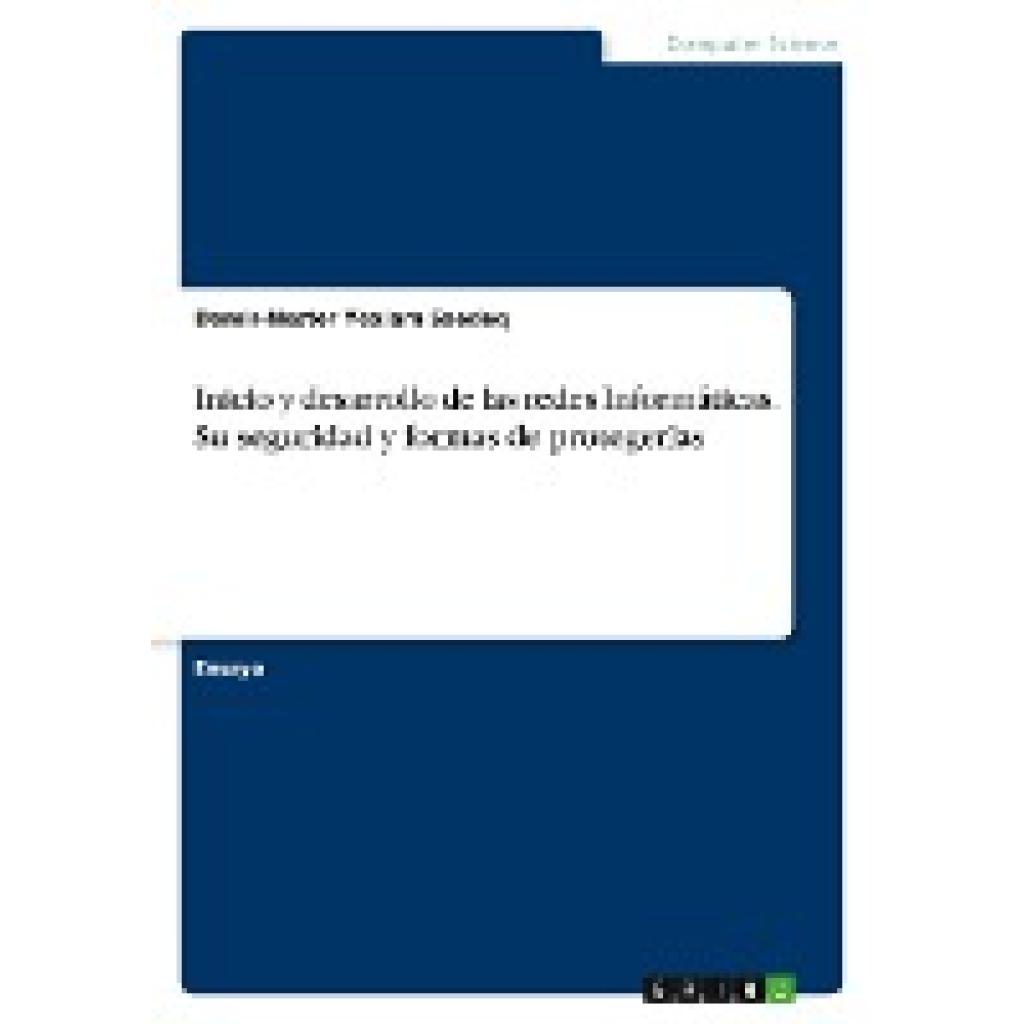 Yexiam Saedeq, Damir-Nester: Inicio y desarrollo de las redes Informáticas. Su seguridad y formas de protegerlas