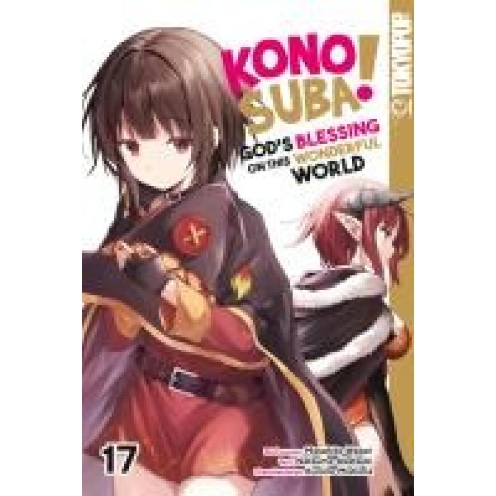 Watari, Masahito: Konosuba! God's Blessing On This Wonderful World! 17