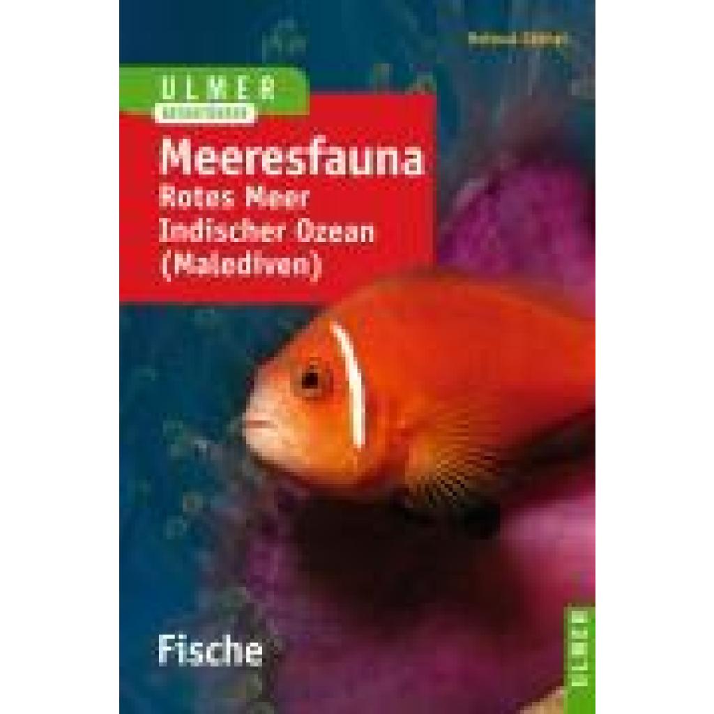 Göthel, Helmut: Meeresfauna. Fische