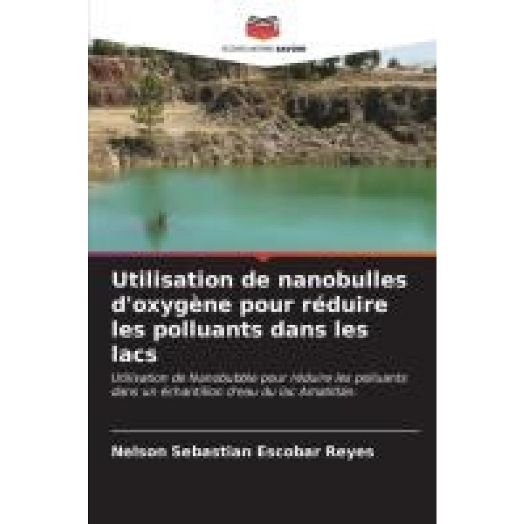 Escobar Reyes, Nelson Sebastian: Utilisation de nanobulles d'oxygène pour réduire les polluants dans les lacs