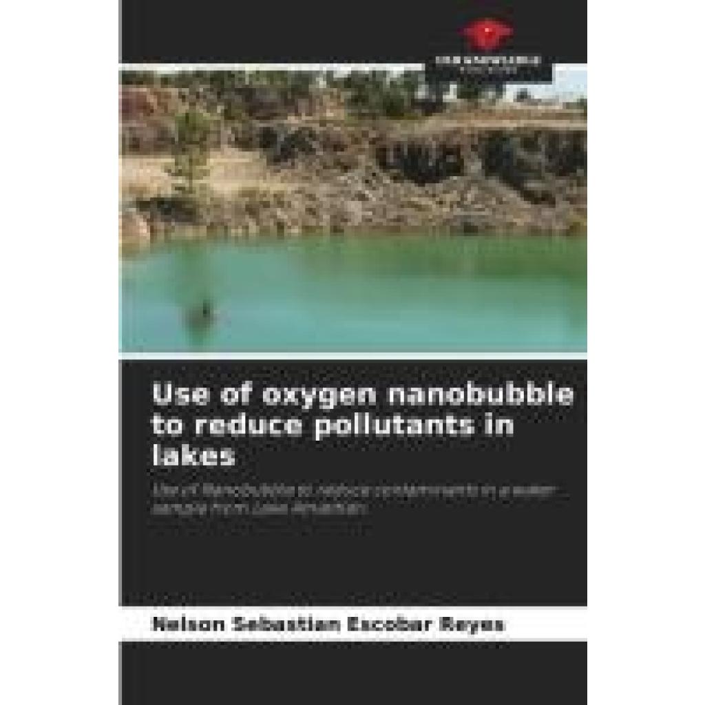 Escobar Reyes, Nelson Sebastian: Use of oxygen nanobubble to reduce pollutants in lakes