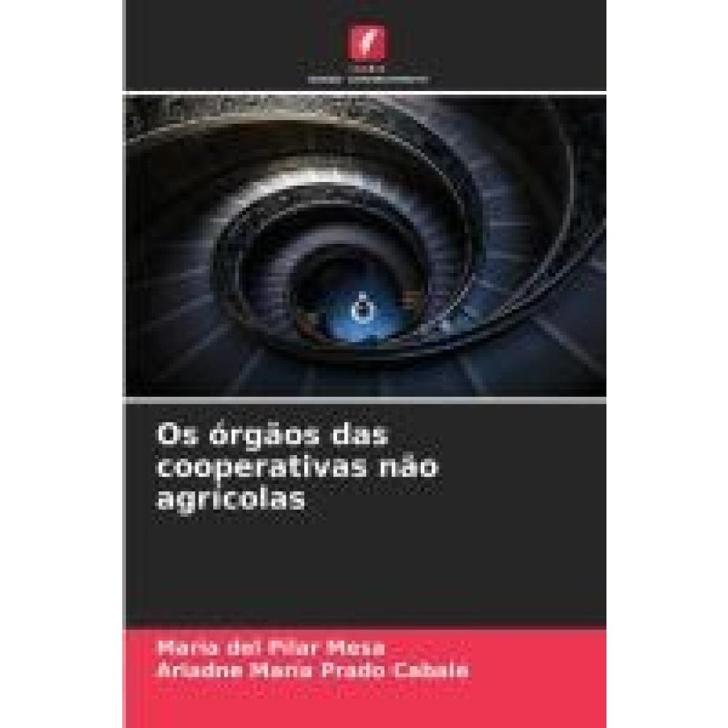 Mesa, Maria del Pilar: Os órgãos das cooperativas não agrícolas