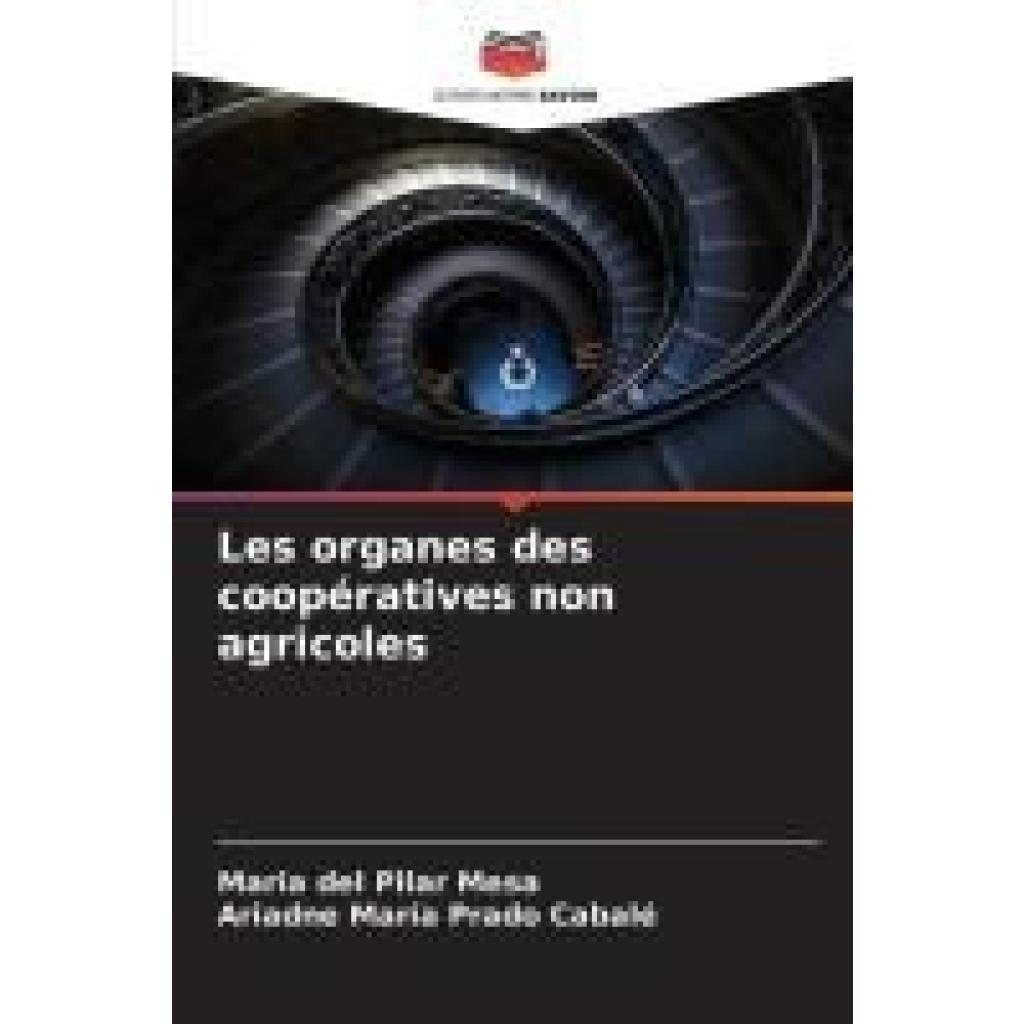 Mesa, Maria del Pilar: Les organes des coopératives non agricoles