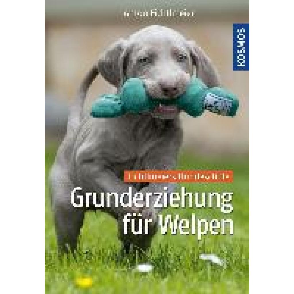 9783440134139 - Grunderziehung für Welpen - Anton Fichtlmeier Gebunden