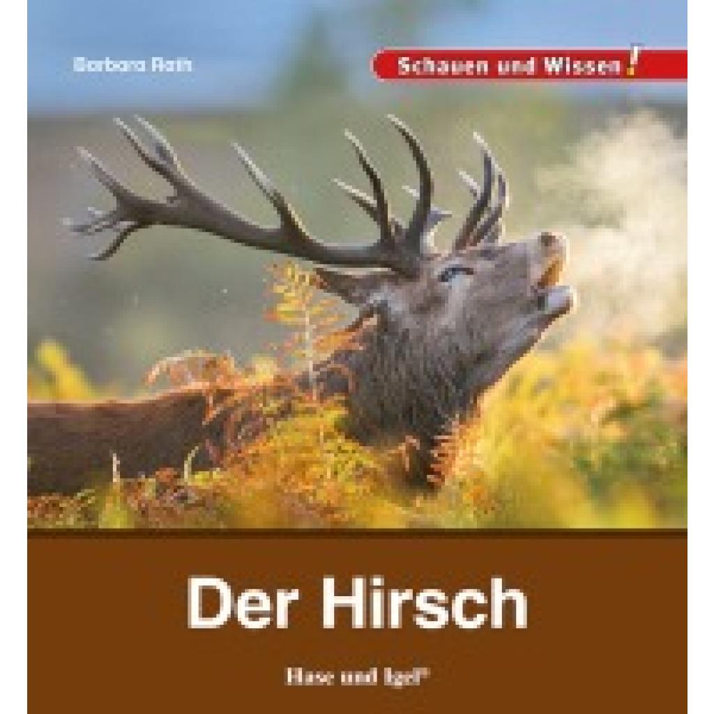 9783863164621 - Der Hirsch - Barbara Rath Gebunden