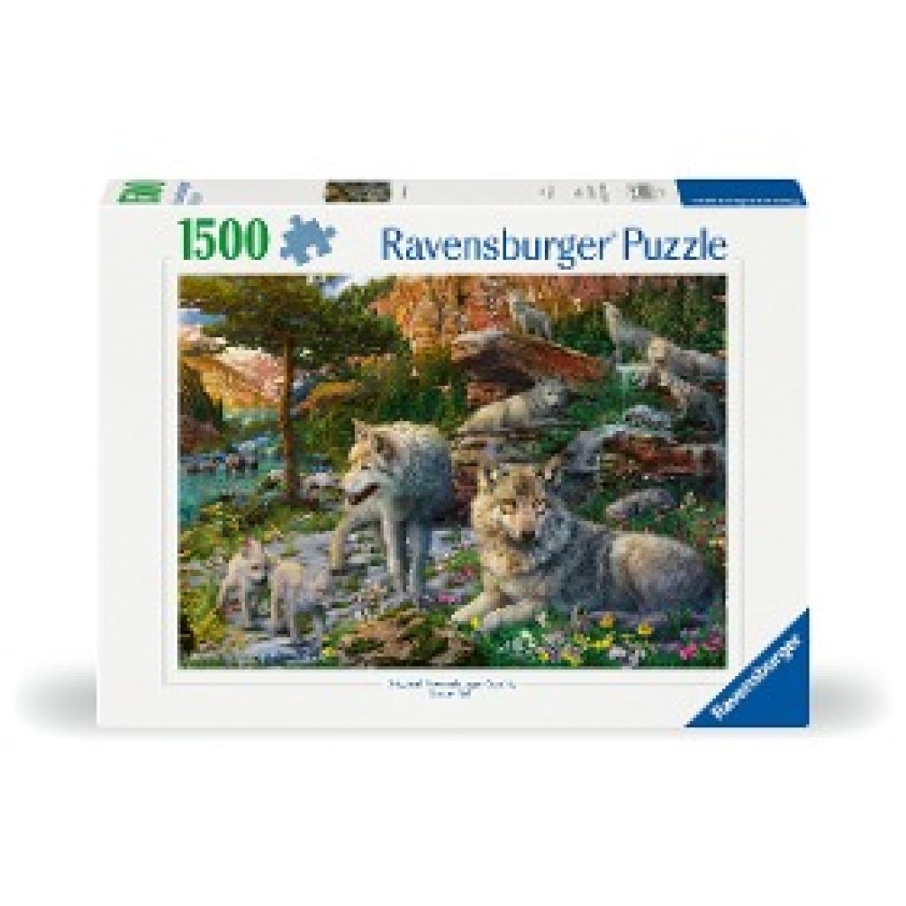 Ravensburger Puzzle 12000719 - Wolfsrudel im Frühlingserwachen - 1500 Teile Puzzle für Erwachsene und Kinder ab 14 Jahre