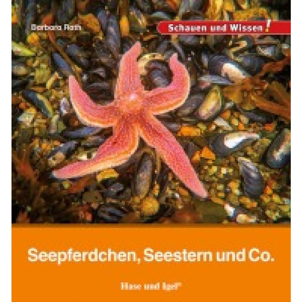 9783863164706 - Seepferdchen Seestern und Co - Barbara Rath Gebunden
