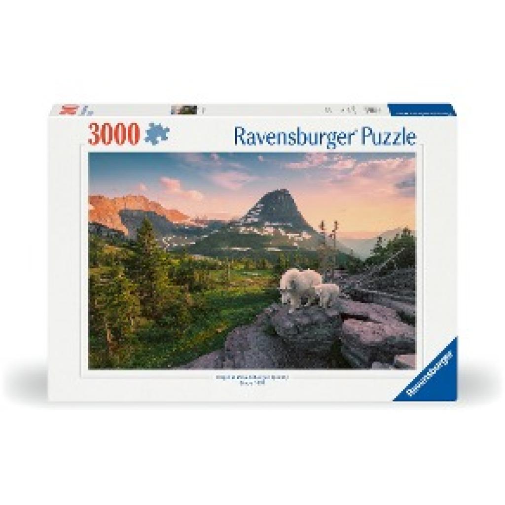 4005555008095 - Ravensburger Puzzle 12000809 - Almbock mit Baby - 2000 Teile Puzzle für Erwachsene ab 14 Jahren 4005555008095 - Ravensburger Puzzle 12000809 - Almbock mit Baby - 2000 Teile Puzzle für Erwachsene ab 14 Jahren