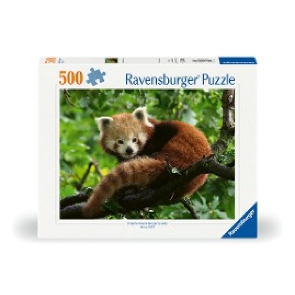 Ravensburger Puzzle 12000369 Süßer roter Panda - 500 Teile Puzzle für Erwachsene und Kinder ab 1´2 Jahren