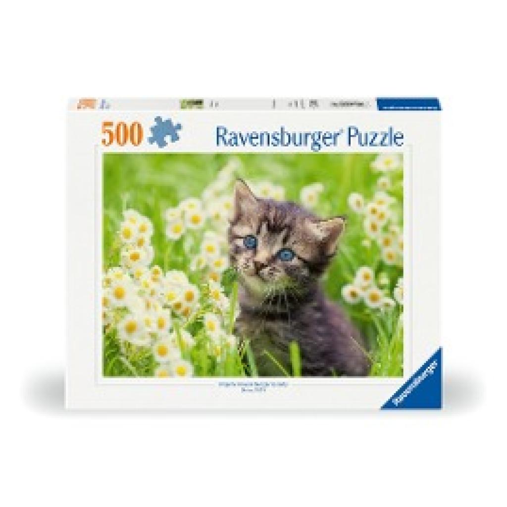 Ravensburger Puzzle 12000367 - Kätzchen in der Wiese - 500 Teile Puzzle für Erwachsene und Kinder ab 12 Jahren