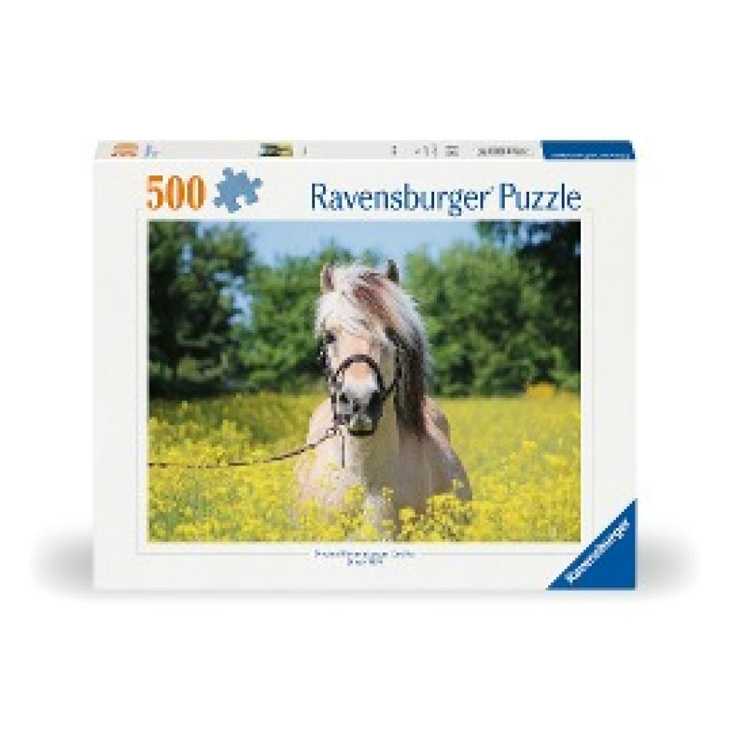Ravensburger Puzzle 12000210 - Pferd im Rapsfeld - 500 Teile Puzzle für Erwachsene und Kinder ab 10 Jahren, Pferde-Puzzl