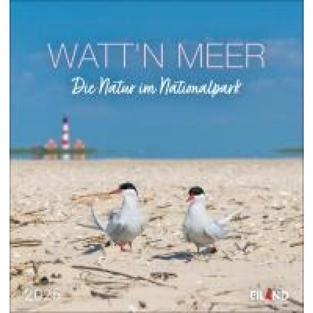 Watt'n Meer Postkartenkalender 2025 - Die Natur im Nationalpark