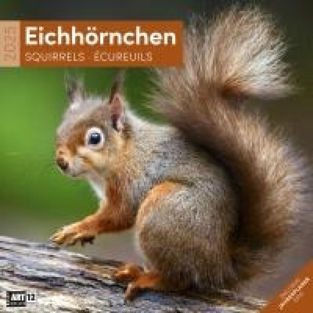 Ackermann Kunstverlag: Eichhörnchen Kalender 2025 - 30x30