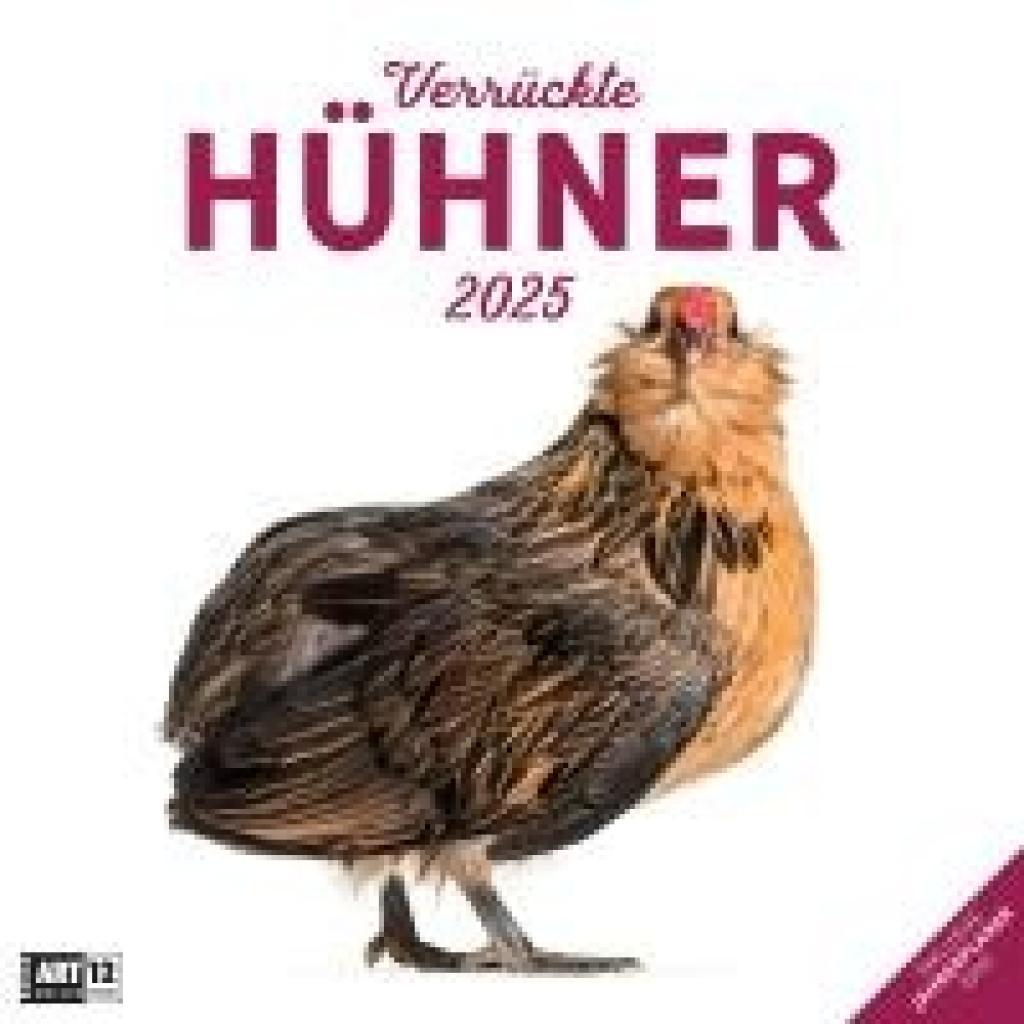 Ackermann Kunstverlag: Verrückte Hühner Kalender 2025 - 30x30