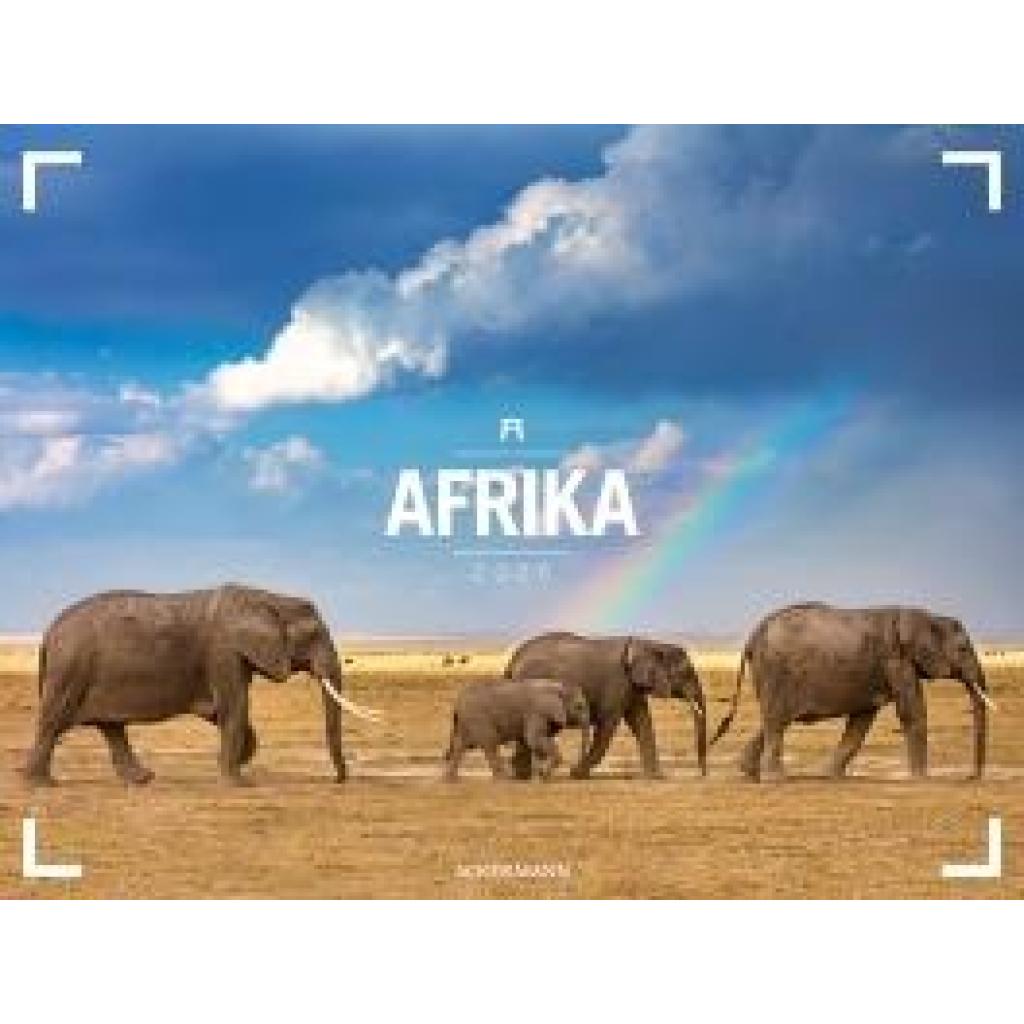 Ackermann Kunstverlag: Afrika - Ackermann Gallery Kalender 2025