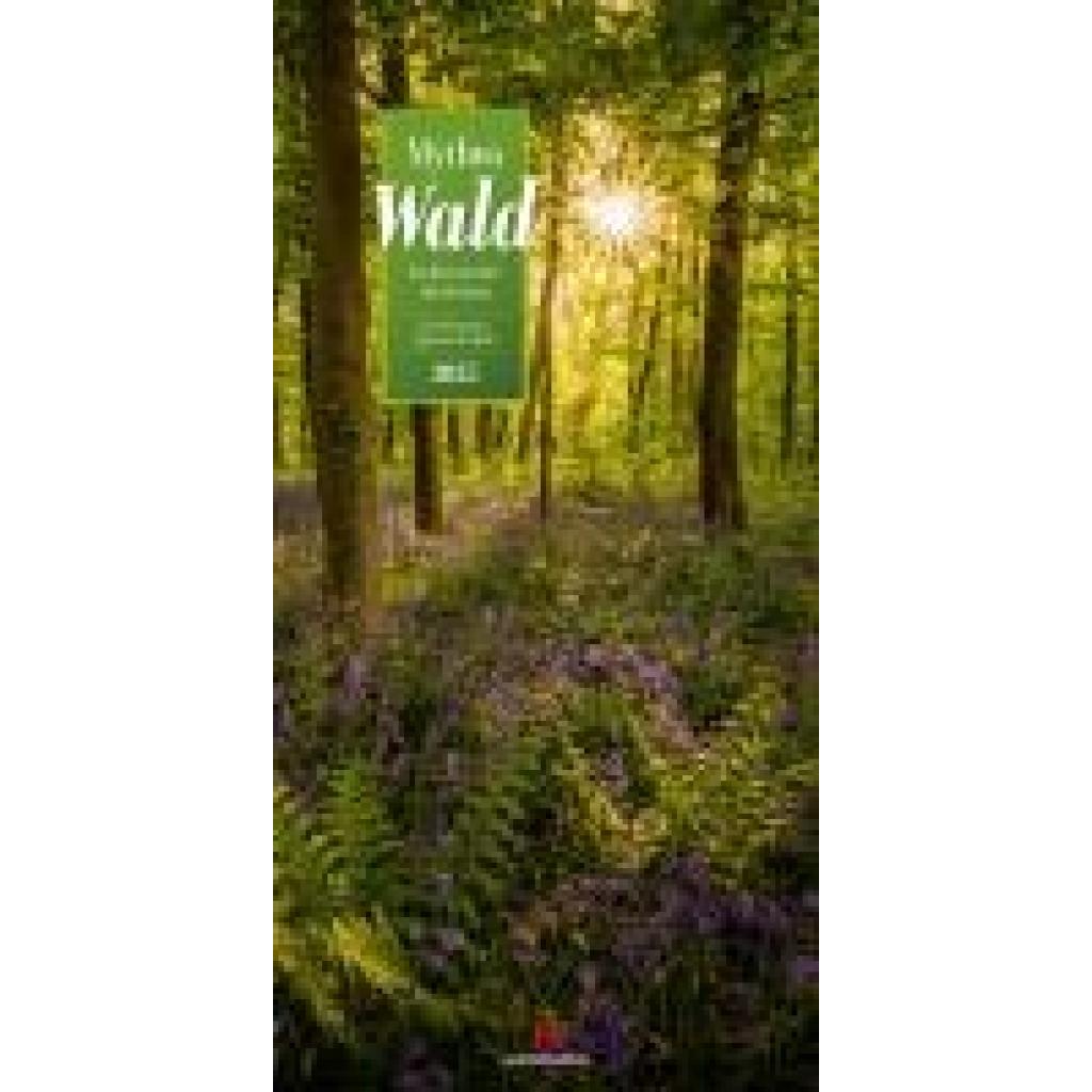 Ackermann Kunstverlag: Mythos Wald - Literatur-Kalender 2025