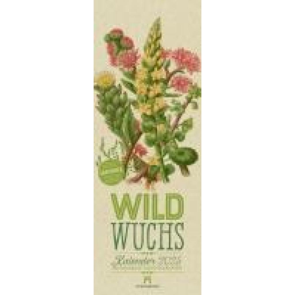 Pratt, Anne: Wildwuchs - Botanische Illustrationen - Graspapier-Kalender 2025