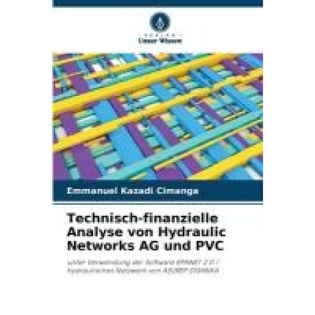 Kazadi Cimanga, Emmanuel: Technisch-finanzielle Analyse von Hydraulic Networks AG und PVC