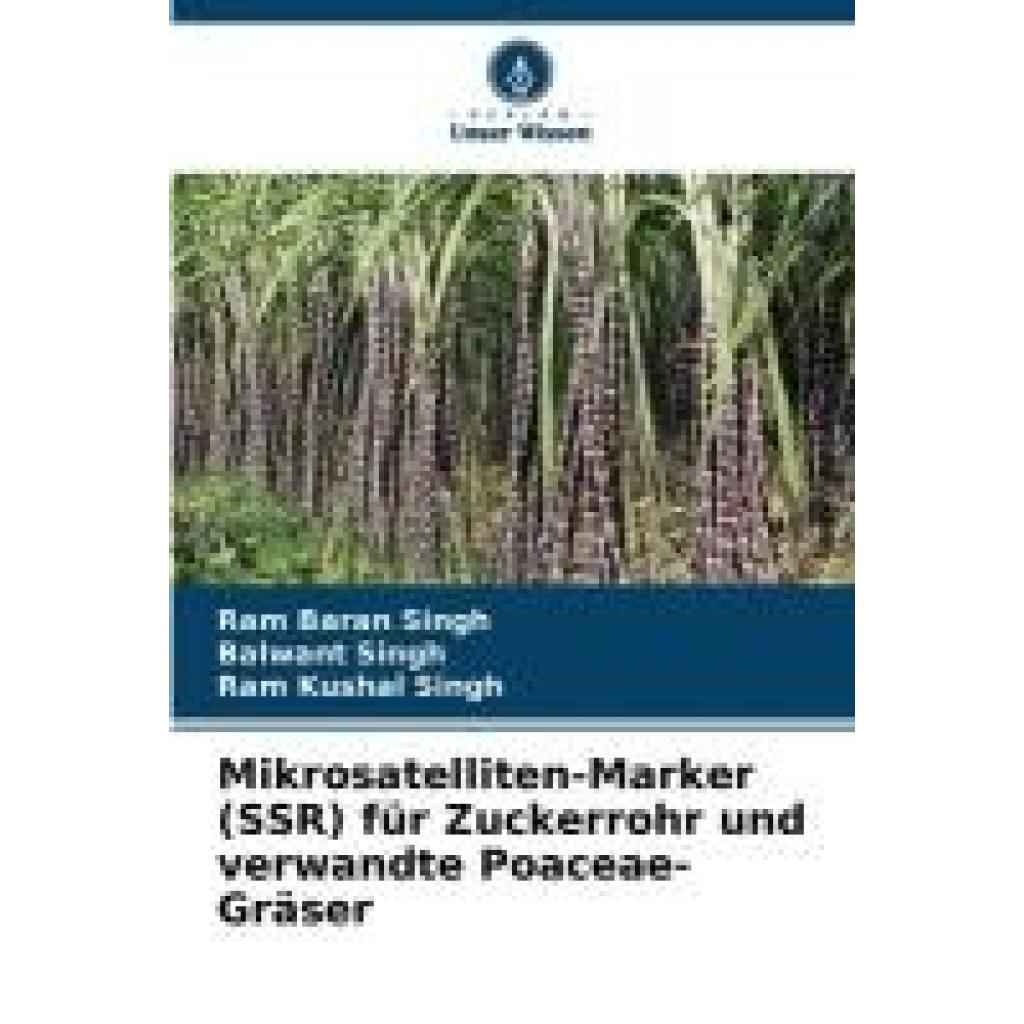 Singh, Ram Baran: Mikrosatelliten-Marker (SSR) für Zuckerrohr und verwandte Poaceae-Gräser