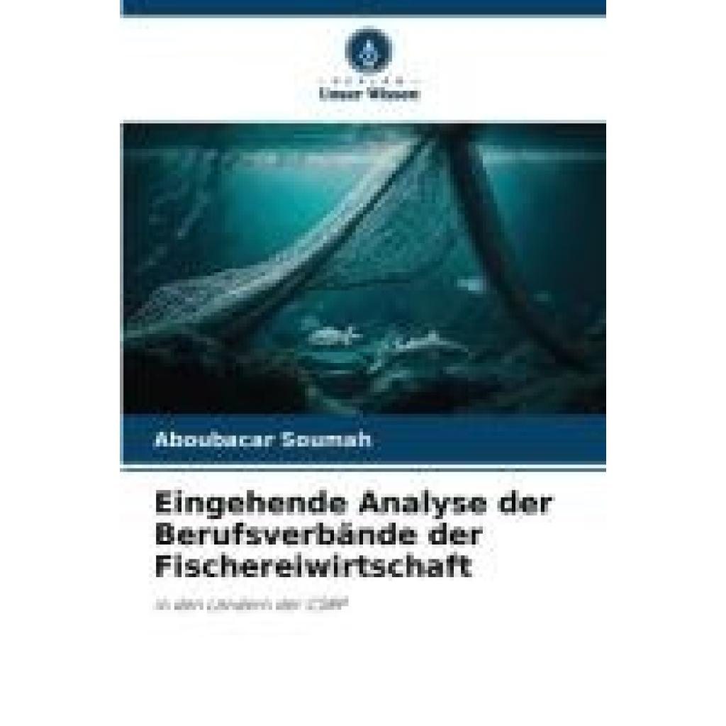 Soumah, Aboubacar: Eingehende Analyse der Berufsverbände der Fischereiwirtschaft