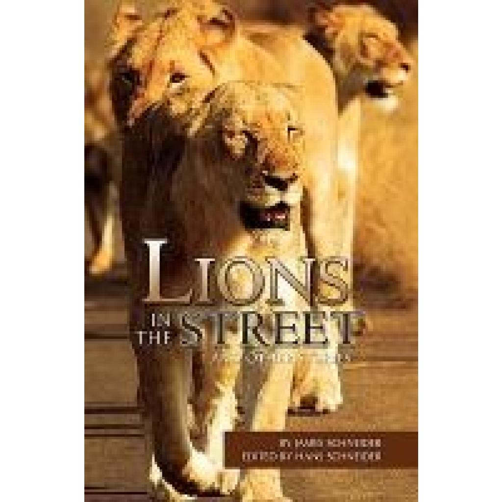 Schneider, James: Lions in the Street