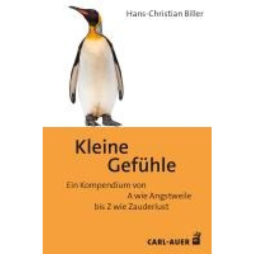 9783849705275 - Kleine Gefühle - Hans-Christian Biller Gebunden