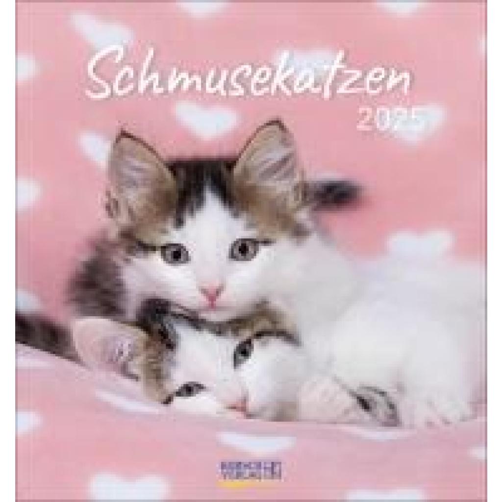 Schmusekatzen 2025