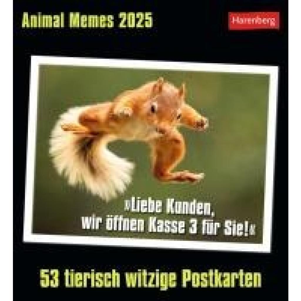 Merschhemke, Elena: Animal Memes Postkartenkalender 2025 - 53 tierisch witzige Postkarten