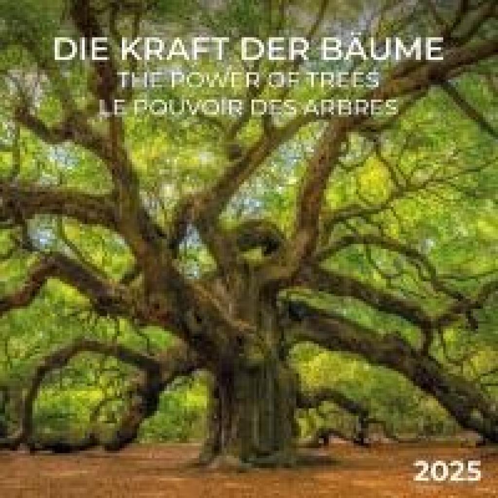 Die Kraft der Bäume 2025