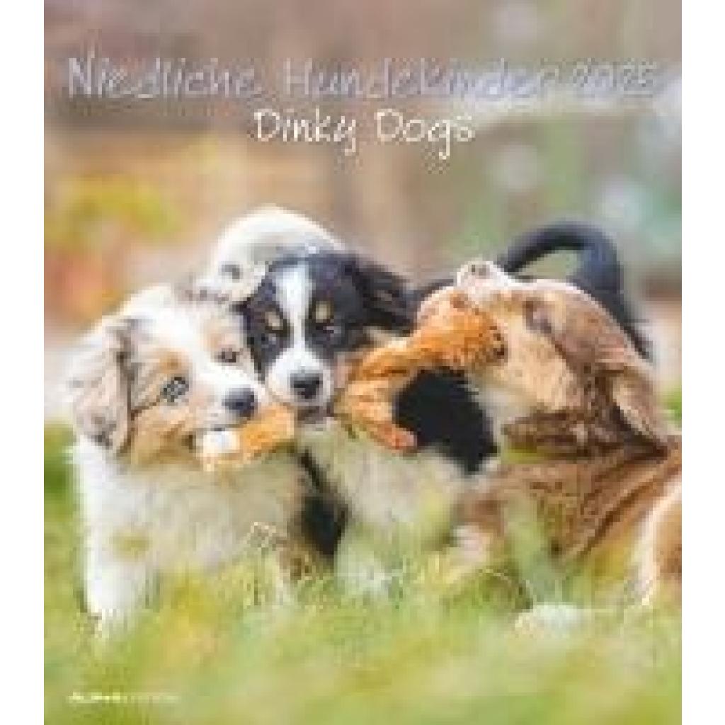 Niedliche Hundekinder 2025 - Wand-Kalender - Tier-Kalender - 30x34