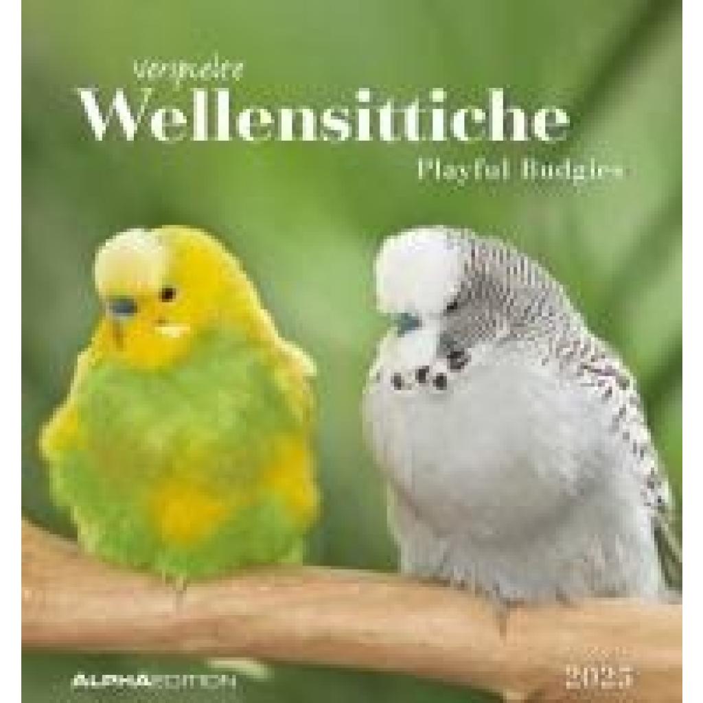 Wellensittiche 2025 - Postkartenkalender 16x17 cm - Budgies - zum Aufstellen oder Aufhängen - Monatskalendarium - Gadget