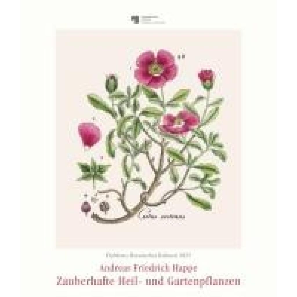 DuMonts Botanisches Kabinett - Zauberhafte Heil- und Gartenpflanzen - Illustriert von F.A. Happe - Kunstkalender 2025 - 