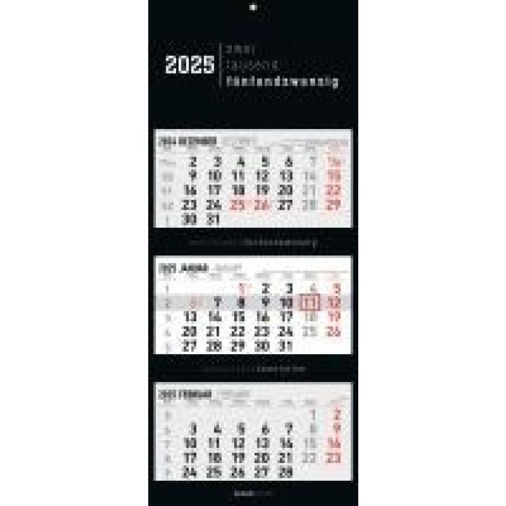 3-Monatskalender Black 2025 - Büro-Kalender 33x20 cm (geschlossen), 33x80 cm (geöffnet) - faltbar - mit Datumsschieber -