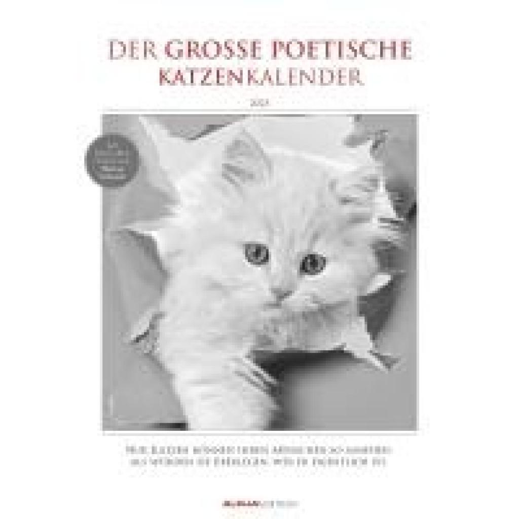 Der große poetische Katzenkalender 2025 - Bildkalender A3 (29,7x42 cm) - mit schönen Zitaten - schwarz-weiß - Tierkalend