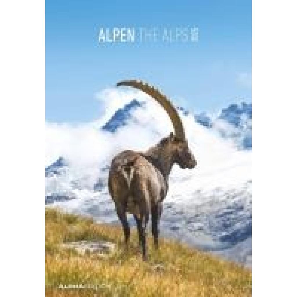 Alpen 2025 - Bild-Kalender 23,7x34 cm - The Alps - Wandkalender - mit Platz für Notizen - Alpha Edition