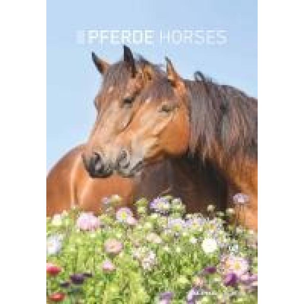 Pferde 2025 - Bildkalender 23,7x34 cm - Kalender mit Platz für Notizen - mit vielen Zusatzinformationen - Horses - Wandk